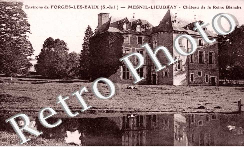 Chateau de la Reine Blanche