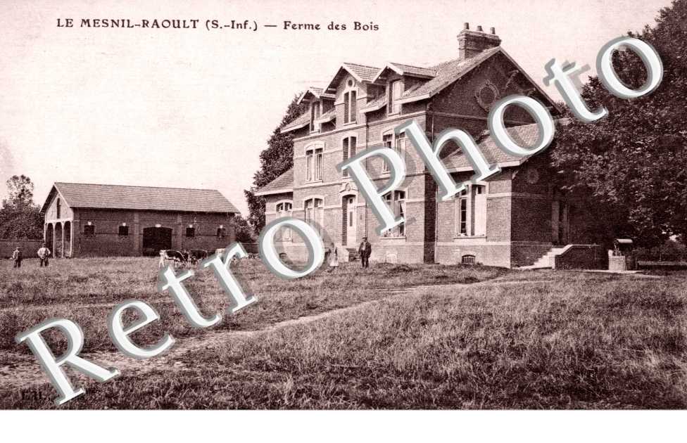 la Ferme des Bois