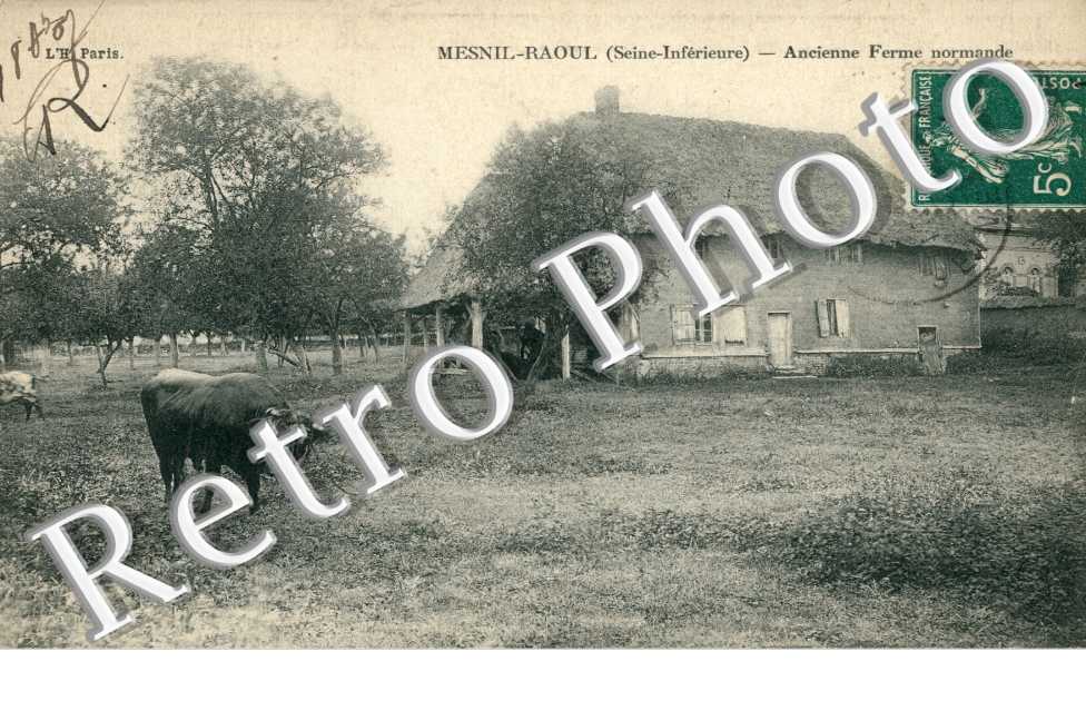 Ancienne Ferme normande
