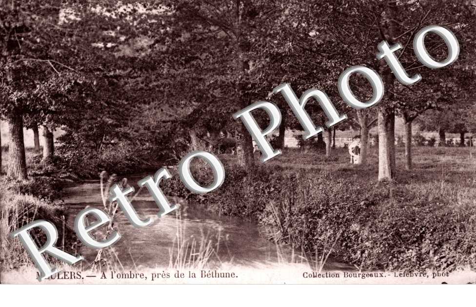 A l'ombre, pres de la Bethune