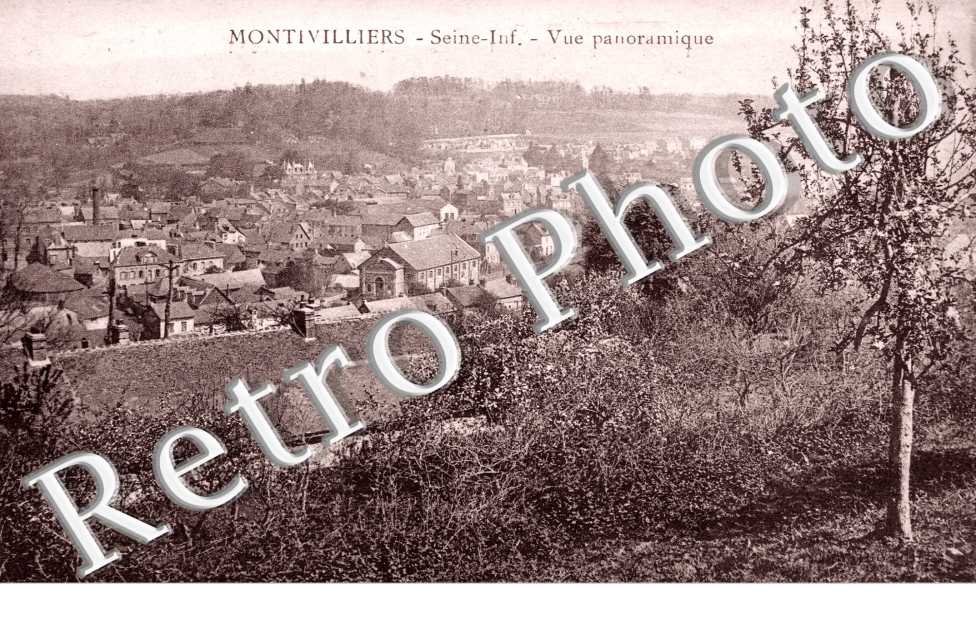 Vue Panoramique