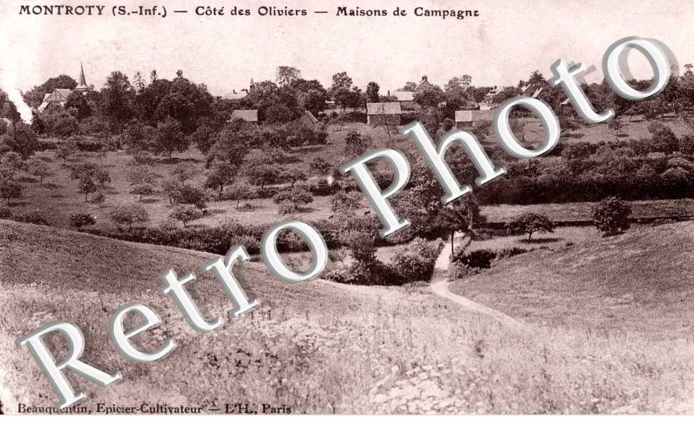 Cote des Oliviers - Maisons de campagne