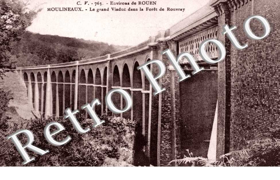 Le grand viaduc dans la foret de Rouvray