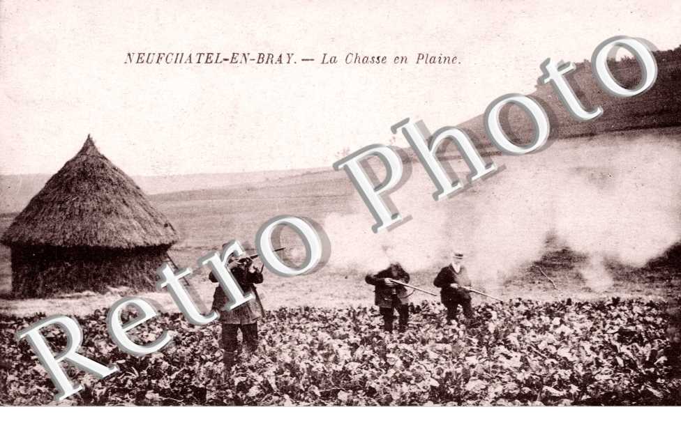 La chasse en plaine