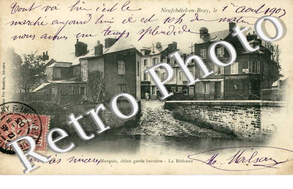 Marquis, chein garde-barriere, la Bethune