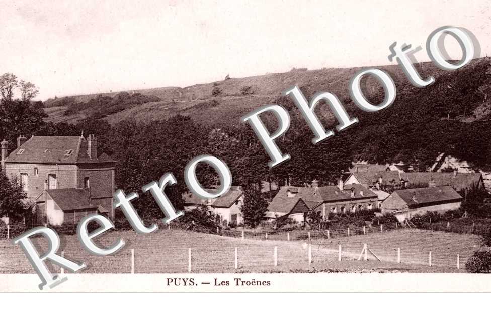 Puys, les Troënes