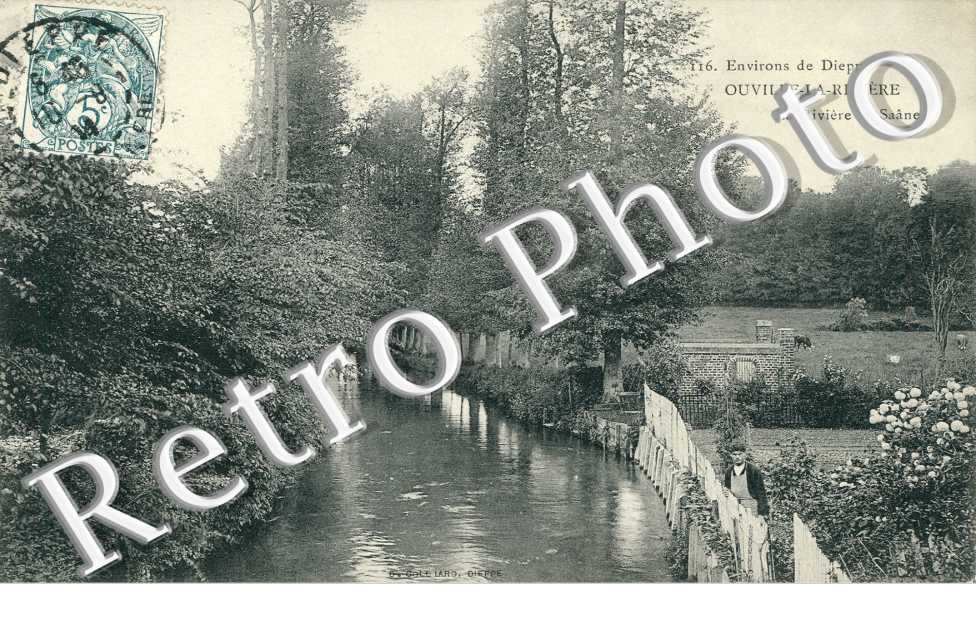 la riviere la Saane