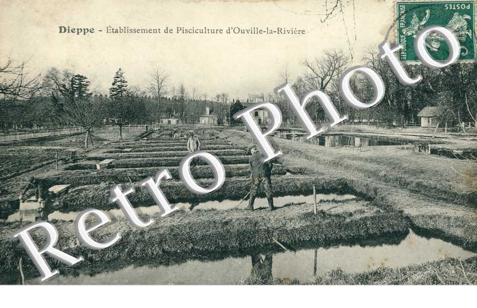 Etablissement de la Pisciculture d'Ouville-la-Riviere