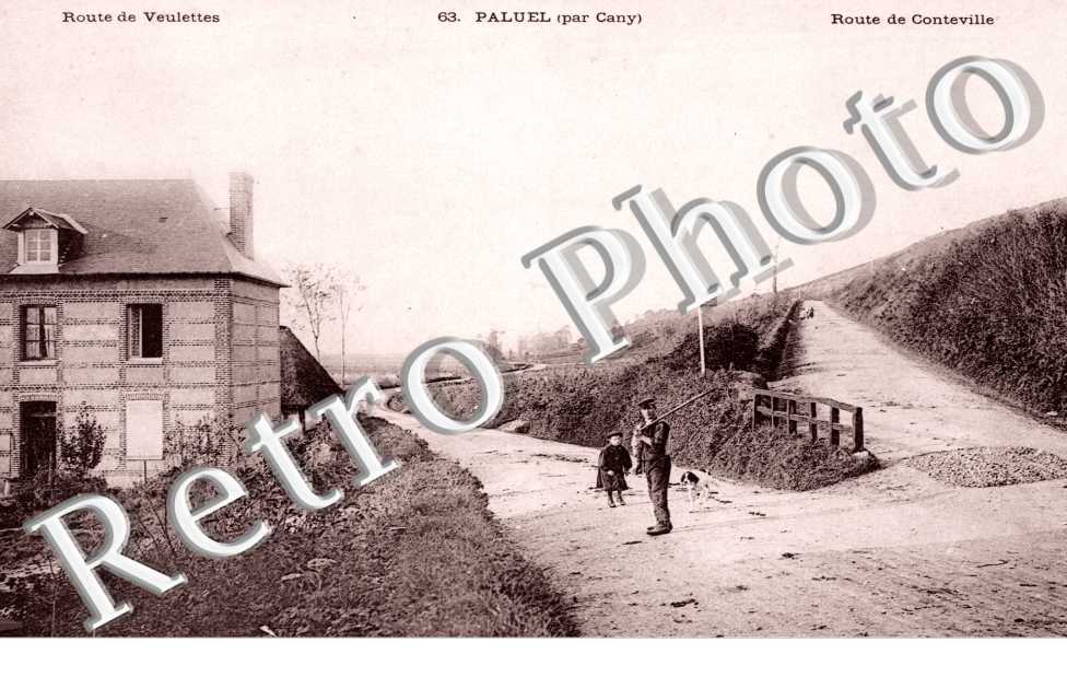 Route de Veulettes
