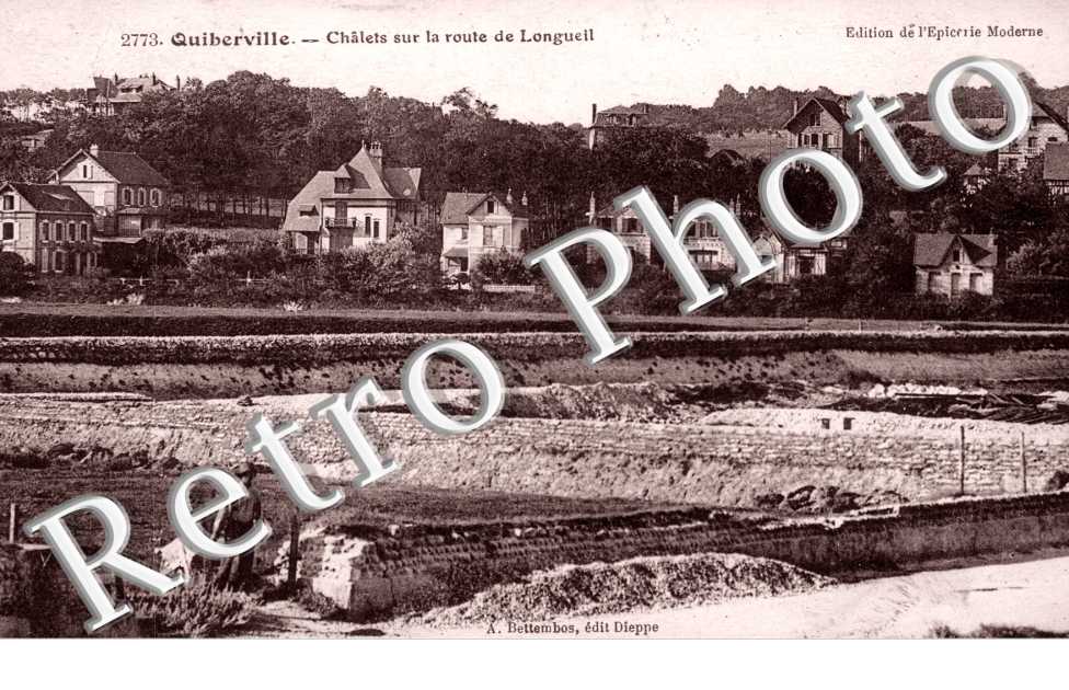 chalets sur la route de Longueil (1921)