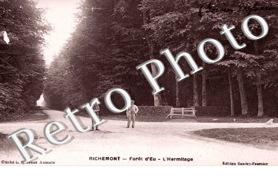 Foret d'Eu - L'Hermitage