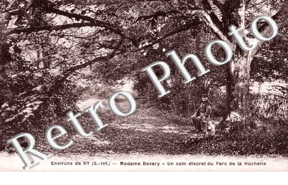 un coin du parc de la Huchette