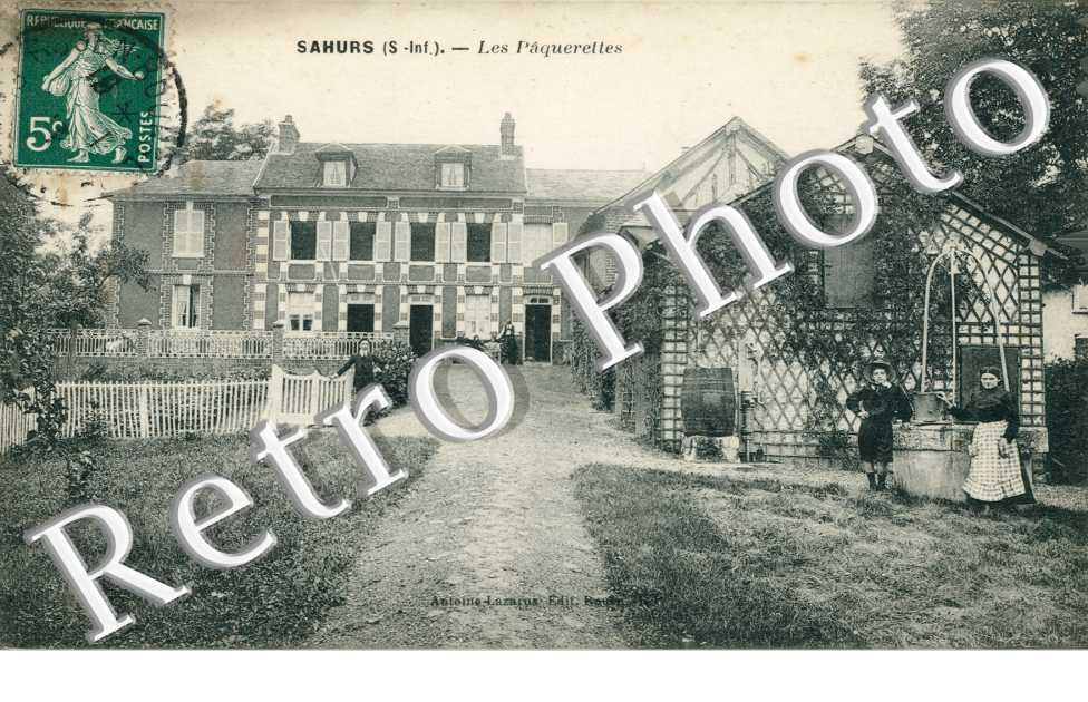 Les Paquerettes