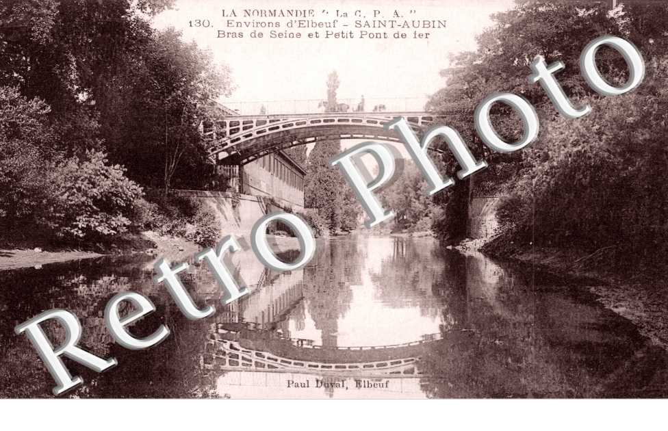 Bras de Seine et Petit Pont de Fer