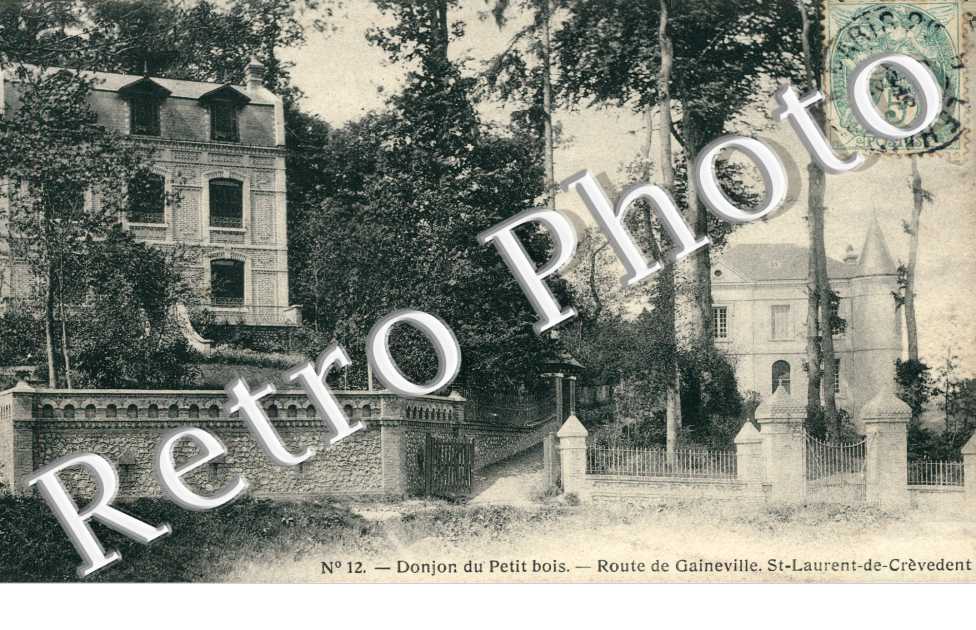 Donjon du Petit Bois