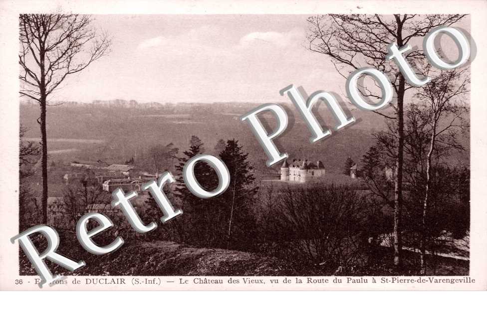 le château des Vieux, vu de la route du Paulu à St-Pierre-de-Varengeville