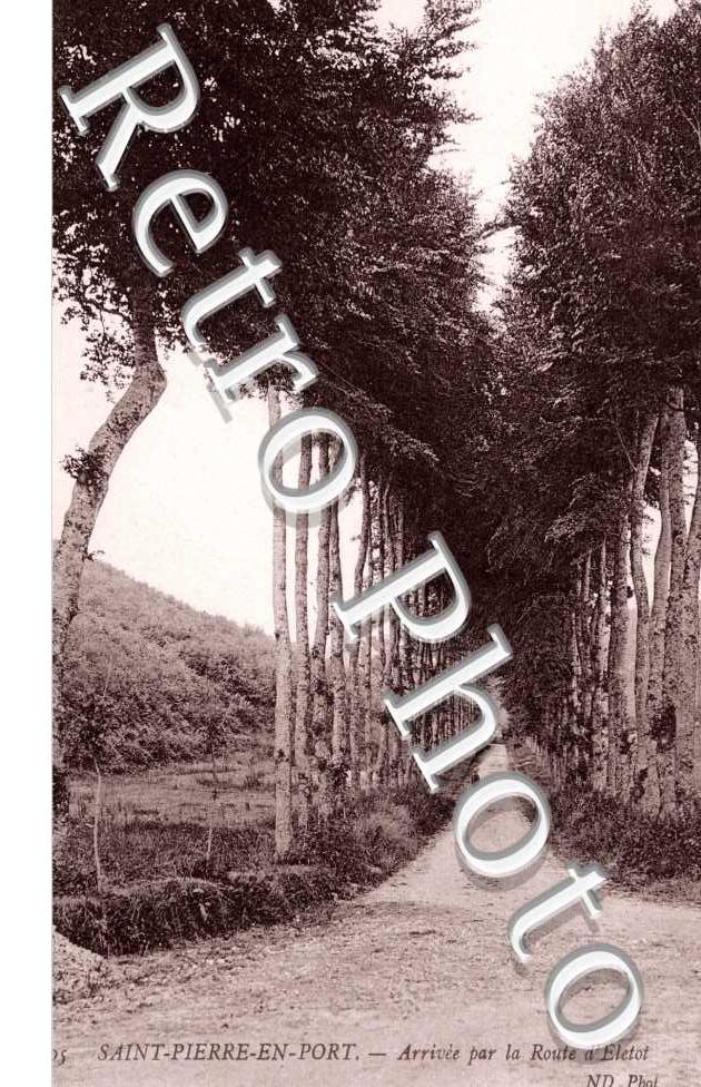 Arrivee par la Route d'Eletot