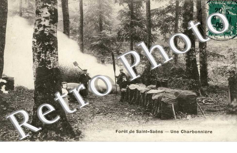 Une Charbonniere, Foret de Saint-Saëns