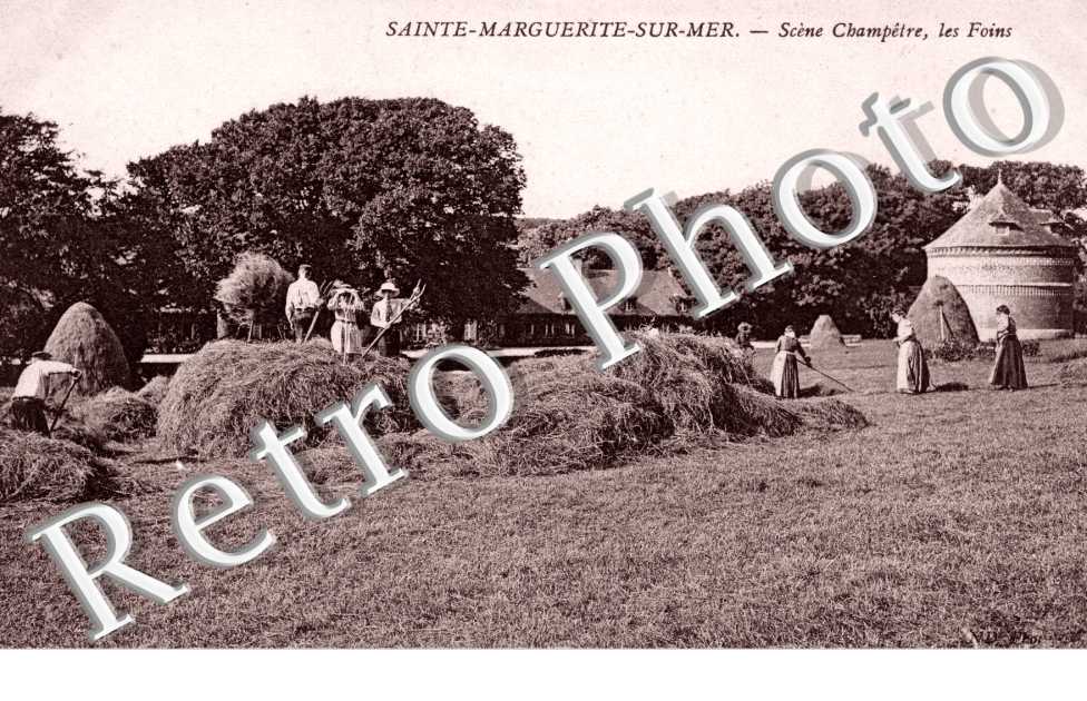 Scene champetre - les foins - agriculture
