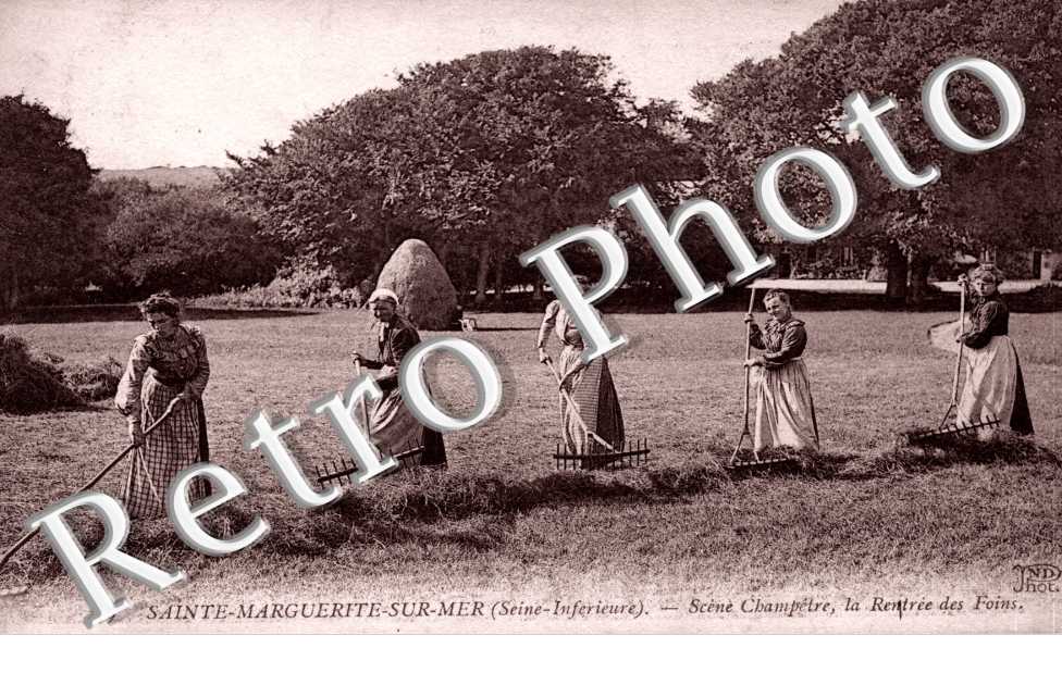 Scene champetre - la rentree des foins - agriculture
