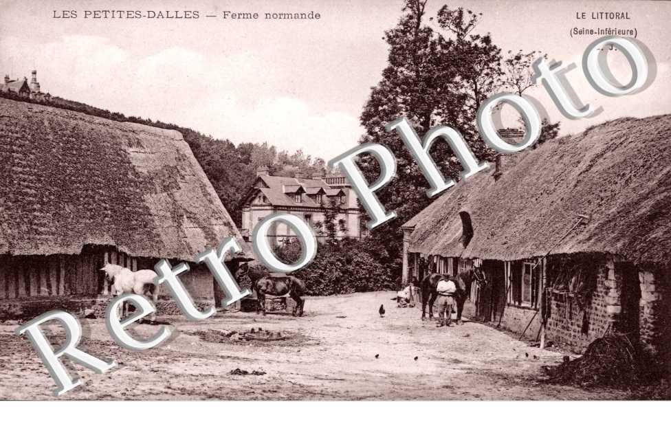 Ferme Normande, les Petites-Dalles