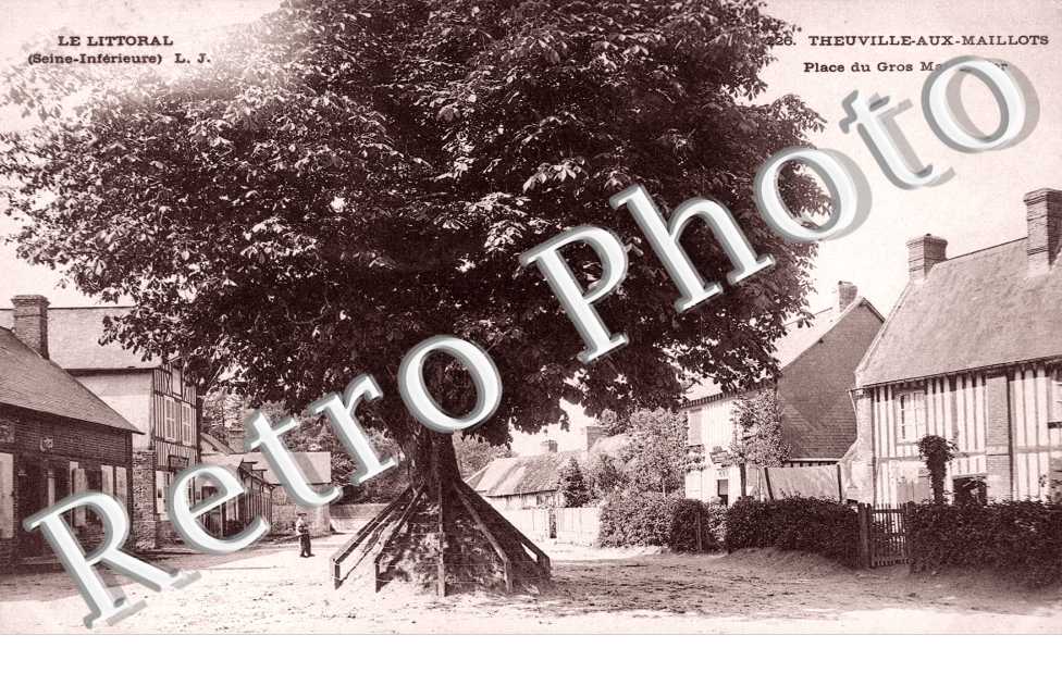 Place du Gros Marronnier