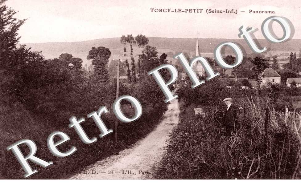 Panorama