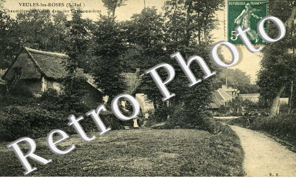 Chaumieres et Villas dans les Cressonnieres
