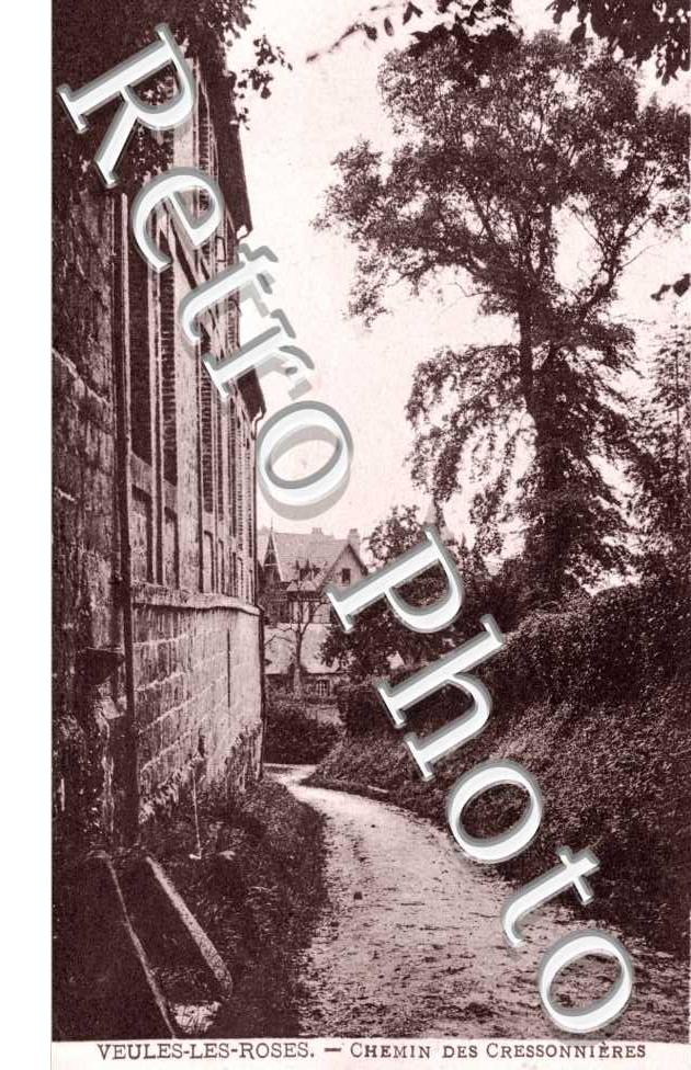 Chemin des Cressonnieres