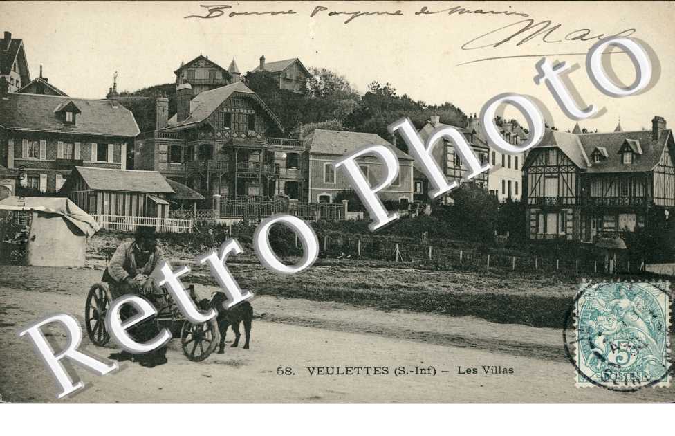 Attelage de Chiens, les Villas