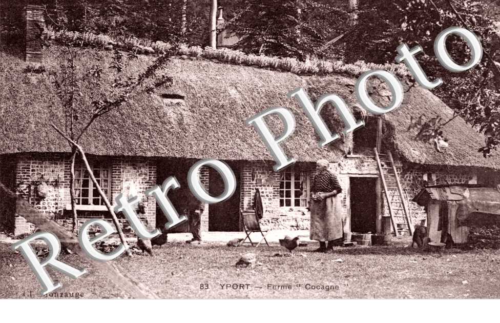 Ferme "Cocagne"