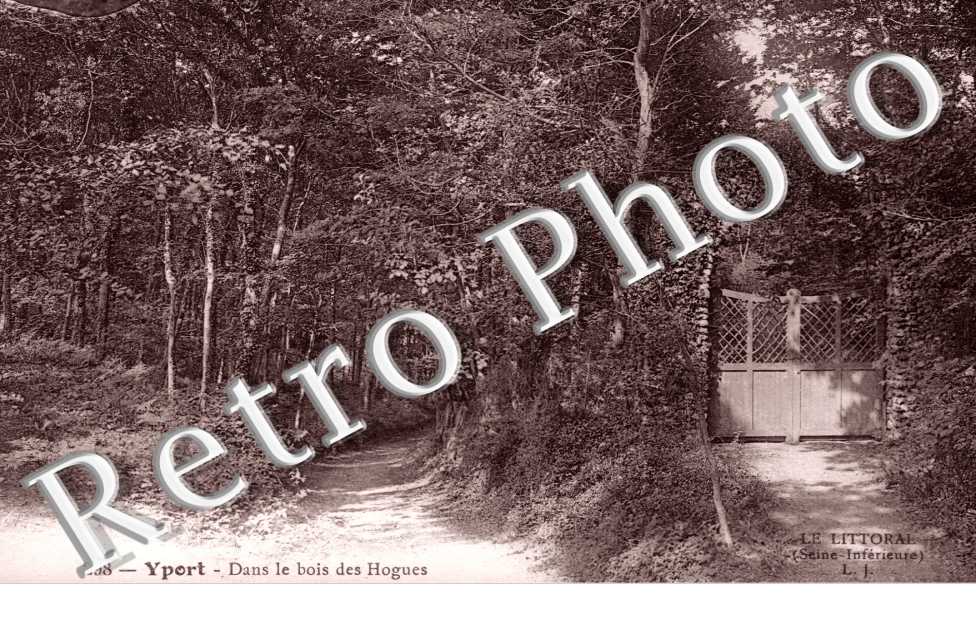 Dans le bois de Hogues