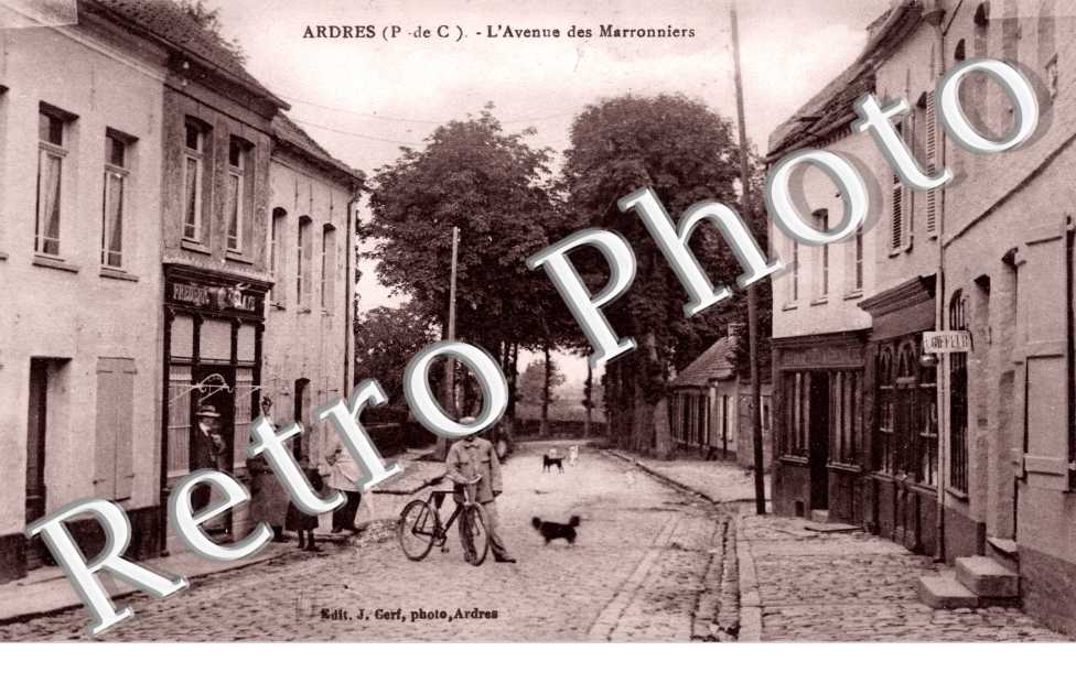 l' avenue des Maronniers