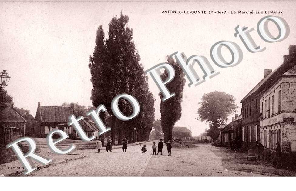 le marche aux bestiaux