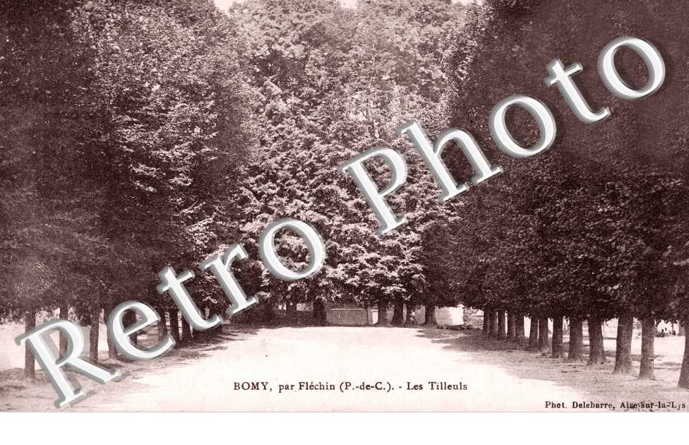 les tilleuls