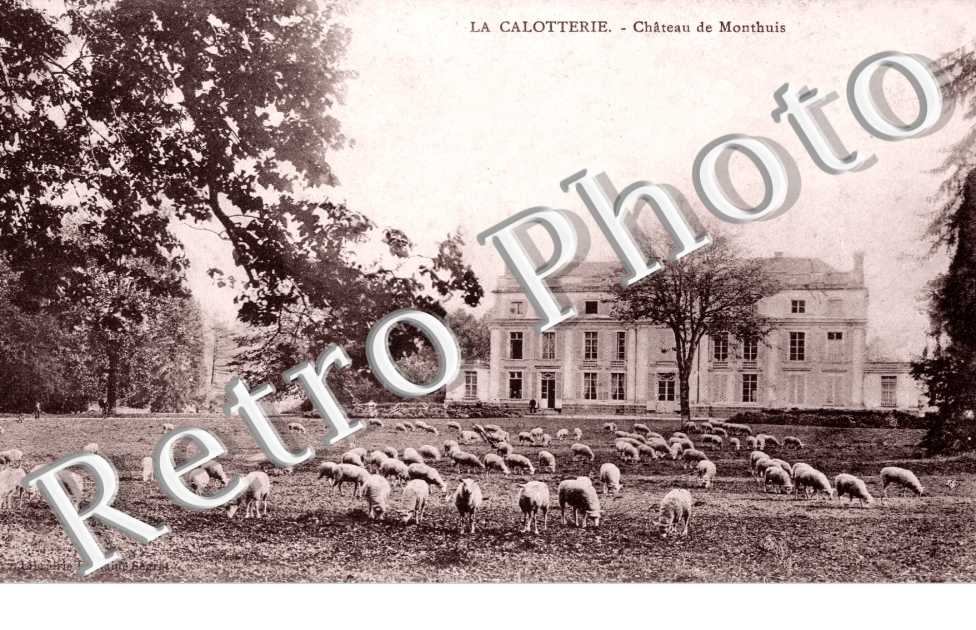 chateau de Monthuis