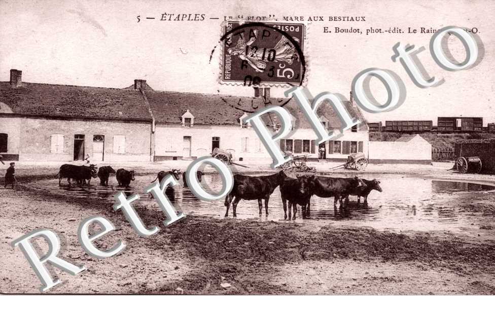 Mare aux bestiaux