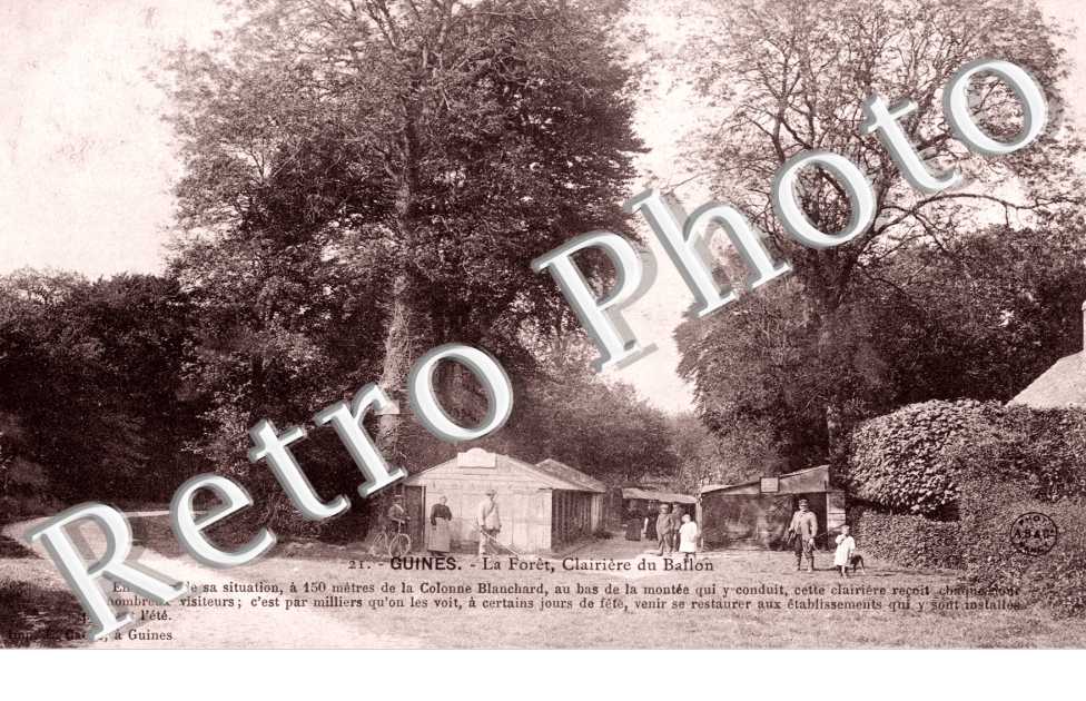 la foret, clairiere du Ballon