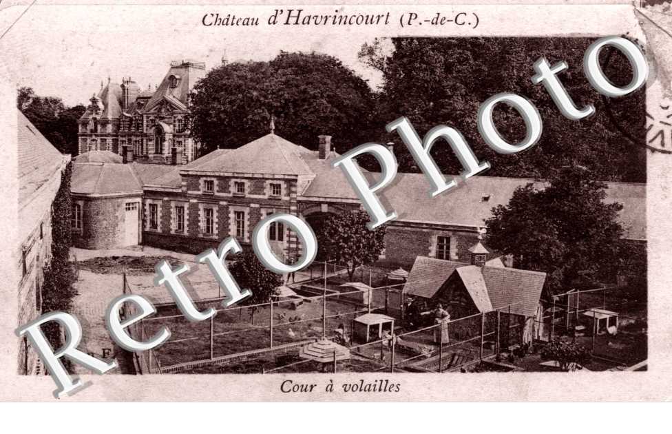le chateau, cour a volailles