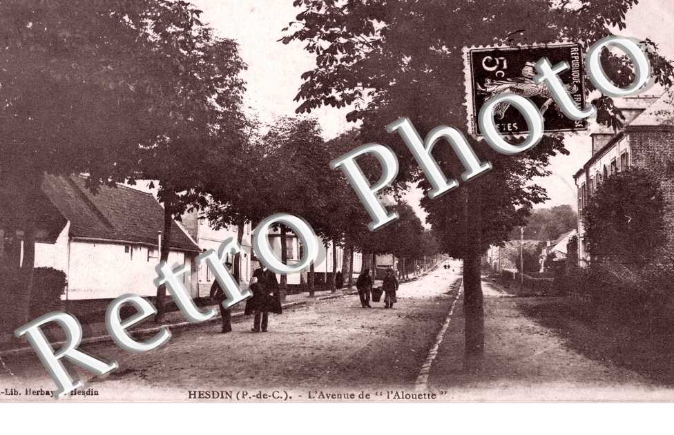 avenue de l'Alouette