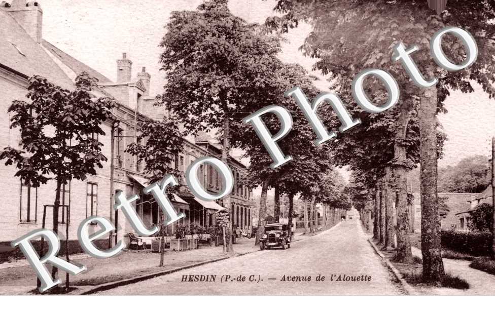 avenue de l'Alouette