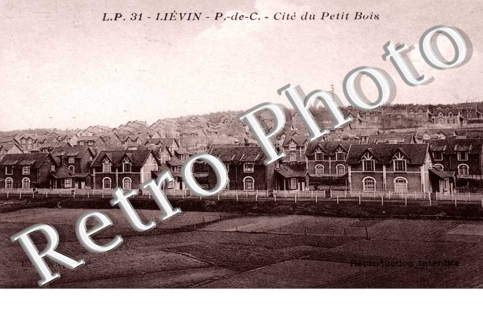 Cite du Petit bois