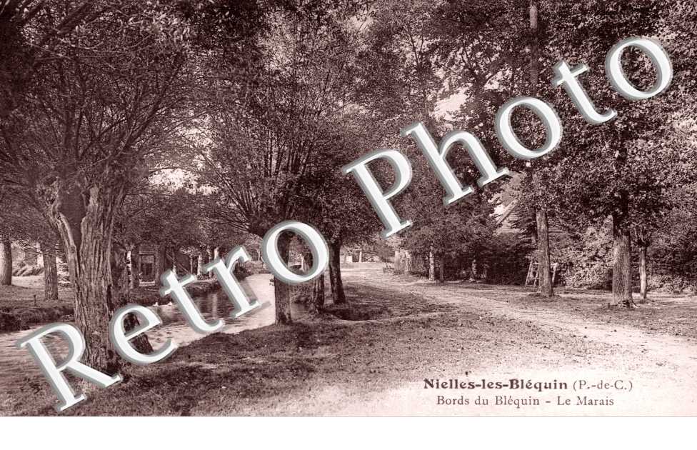Bords du Blequin - le Marais