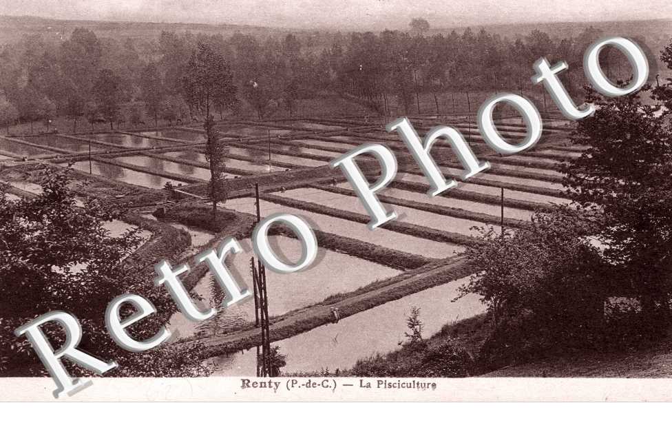 La pisciculture