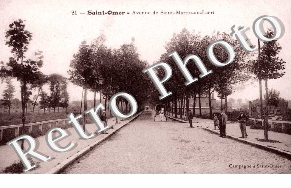 Avenue de Saint Martin au Laërt