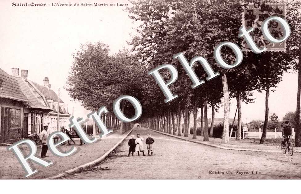 L'Avenue de Saint Martin au Laërt