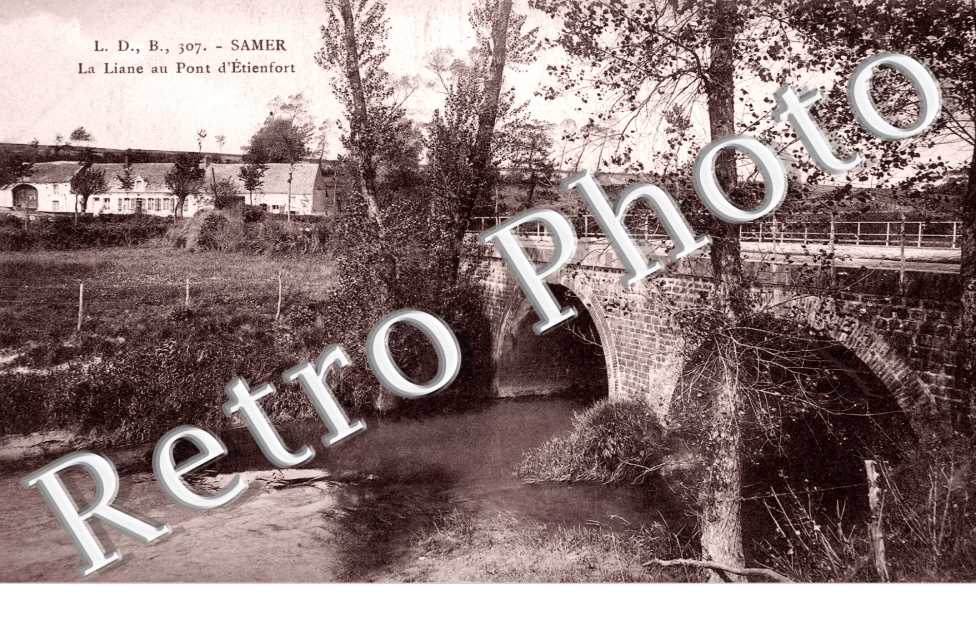 La liane au pont d'Etienfort
