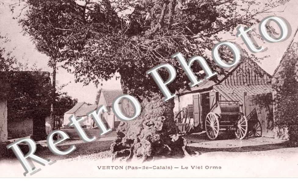 Le vieil Orme
