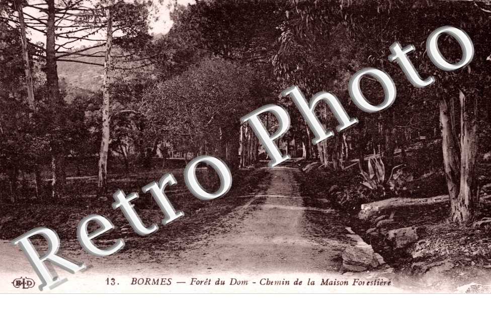 Foret du Donjon - chemin de la maison forestiere