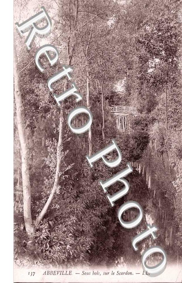 Sous Bois sur le Scardon